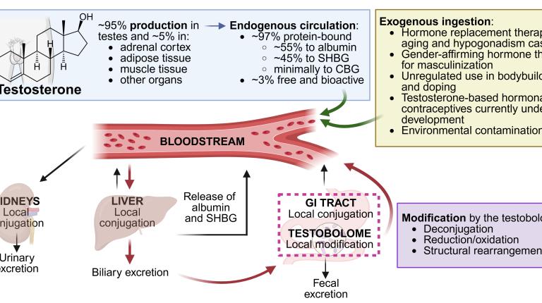 Figure 5 from publication