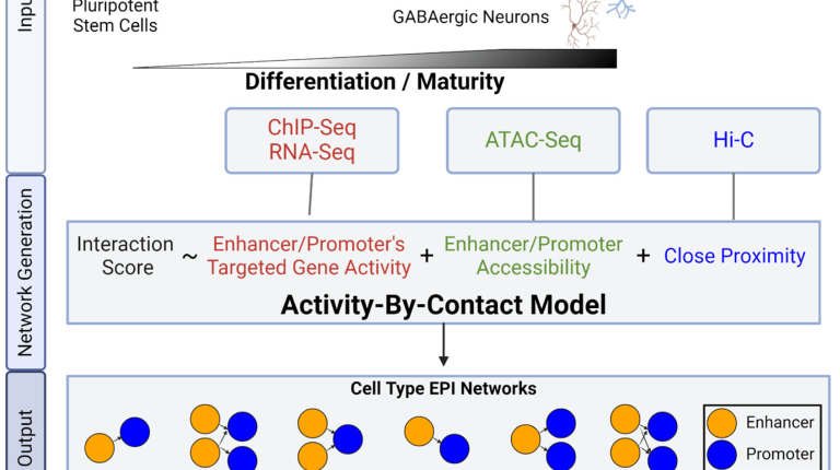 Figure 1 from publication (graph)