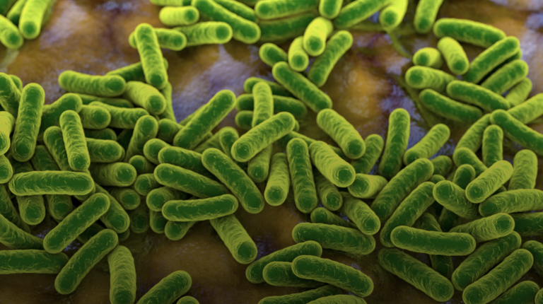 photo of green microbes
