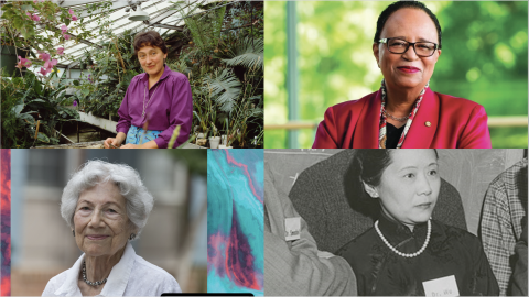 photo features Drs. Jackson, Margulis, Witkin and Wu