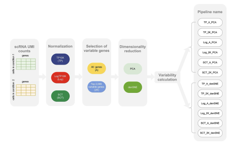 Figure 1 An outline of the 12 pipelines for differential variability analysis. For simplicity, we name the pipelines .