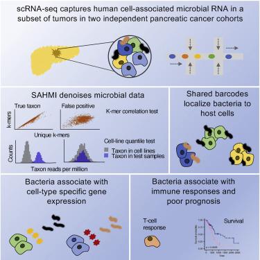 Graphical abstract for publication