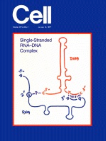 cover of Cell journal 1987