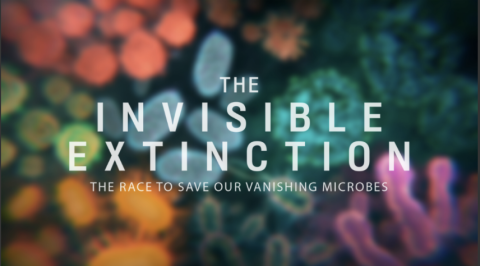 Poster for Film "The Invisible Extinction"